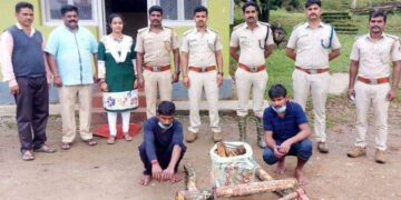 ಶ್ರೀಗಂಧ ಅಕ್ರಮ ಶೇಖರಣೆ: ಇಬ್ಬರ ಬಂಧನ