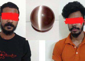 ಪುರಾತನ ಕ್ಯಾಟ್-ಐ ರತ್ನದ ಹರಳು ವಶಕ್ಕೆ