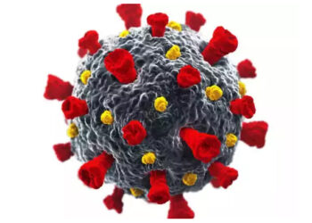 ಕೊರೊನಾ ರೂಪಾಂತರ ವೈರಸ್: ವ್ಯಾಕ್ಸಿನ್ ಗಳಿಗೆ ಬಗ್ಗದ ವಿನಾಶಕ ತಳಿ