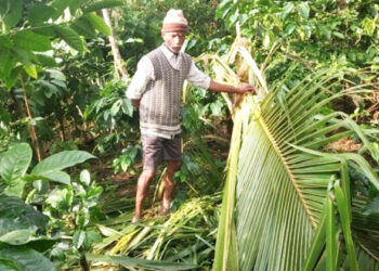 ಮತ್ತೆ ಮರಳಿದ ಕಾಡಾನೆ ಕಾಟ: ಗ್ರಾಮಸ್ಥರಿಗೆ ಪರದಾಟ