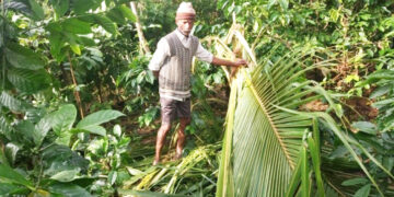 ಮತ್ತೆ ಮರಳಿದ ಕಾಡಾನೆ ಕಾಟ: ಗ್ರಾಮಸ್ಥರಿಗೆ ಪರದಾಟ