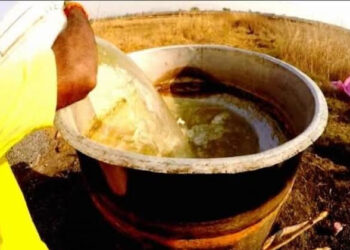 ಮೂಡಿಗೆರೆ ಬಳಿ ದಾಳಿ: ಕಳ್ಳಭಟ್ಟಿ ವಶಕ್ಕೆ