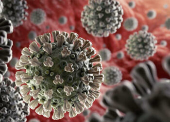 ಕೇವಲ ಹತ್ತೇ ದಿನದಲ್ಲಿ ಐನೂರು ಮಕ್ಕಳಿಗೆ ಕರೋನಾ: ಎಚ್ಚರ ಮಕ್ಕಳೇ ಎಚ್ಚರ: