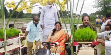 ಕೇಂದ್ರ ಸಚಿವೆಯಿಂದ ಗದ್ದೆ ನಾಟಿ: ಮಂಡ್ಯ ರೈತ ಮಹಿಳೆಯರ ಸಾಥ್