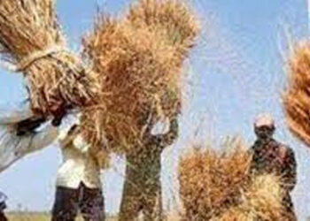 ರೈತರ ಆದಾಯ ದ್ವಿಗುಣ: ರೈತರ ಸಮಿತಿ ರಚನೆ : ಸಿಎಂ