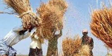 ರೈತರ ಆದಾಯ ದ್ವಿಗುಣ: ರೈತರ ಸಮಿತಿ ರಚನೆ : ಸಿಎಂ