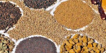 ಚಿಕ್ಕಮಗಳೂರಿನಲ್ಲಿ ಸಾಂಬಾರು ಪಾರ್ಕ್: ದಶಕಗಳ ಕನಸಿಗೆ ಚಾಲನೆ