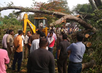 ದಾರಿಯಲ್ಲಿ ಬಿದ್ದ ಮರ ತೆರವು: ಮೆಸ್ಕಾಂ, ಅರಣ್ಯ ಇಲಾಖೆಗೆ ಸ್ವಯಂ ಸೇವಕರ ಸಹಕಾರ