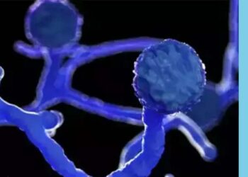 ಕರ್ನಾಟಕದಲ್ಲಿ ಕಪ್ಪು ಶಿಲೀಂಧ್ರ ಸೋಂಕಿಗೆ ತುತ್ತಾದವರ ಸಂಖ್ಯೆ 3900.