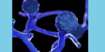 ಕರ್ನಾಟಕದಲ್ಲಿ ಕಪ್ಪು ಶಿಲೀಂಧ್ರ ಸೋಂಕಿಗೆ ತುತ್ತಾದವರ ಸಂಖ್ಯೆ 3900.