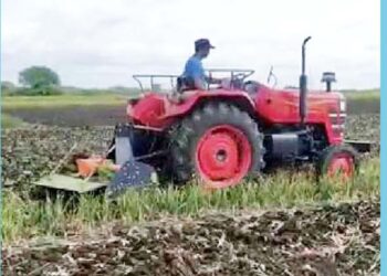 ಬೆಂಬಲ ಬೆಲೆ ಇಲ್ಲ : ಈರುಳ್ಳಿ ಬೆಳೆಯನ್ನು ತಾನೇ ನಾಶ ಮಾಡಿದ ರೈತ