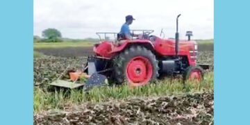 ಬೆಂಬಲ ಬೆಲೆ ಇಲ್ಲ : ಈರುಳ್ಳಿ ಬೆಳೆಯನ್ನು ತಾನೇ ನಾಶ ಮಾಡಿದ ರೈತ