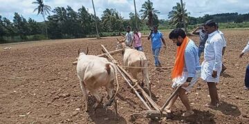 ಹೊಲದಲ್ಲಿ ಉಳುಮೆ ಮಾಡಿ ಸಿ.ಟಿ.ರವಿ ಗಣೇಶ ಚತುರ್ಥಿ ಆಚರಣೆ