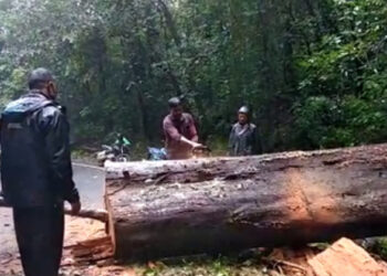 ಆಗುಂಬೆ ಘಾಟಿ ತಿರುವಿನಲ್ಲಿ ಅಡ್ಡಲಾಗಿ ಬಿದ್ದ ಮರ