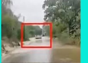 ಚಾಲಕನ ನಿರ್ಲಕ್ಷ್ಯದಿಂದ ನದಿಯಲ್ಲಿ ಬಸ್‌ ಮುಳುಗಡೆ