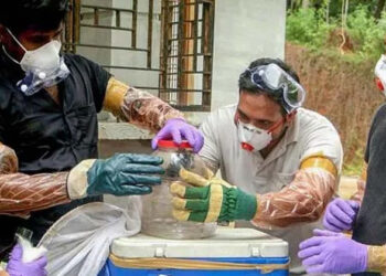 ಕೇರಳದಲ್ಲಿ ನಿಫಾ ವೈರಸ್ ಗೆ ಬಾಲಕ ಬಲಿ: ಕೇಂದ್ರ ತಂಡ ಭೇಟಿ