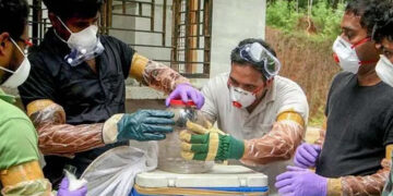 ಕೇರಳದಲ್ಲಿ ನಿಫಾ ವೈರಸ್ ಗೆ ಬಾಲಕ ಬಲಿ: ಕೇಂದ್ರ ತಂಡ ಭೇಟಿ