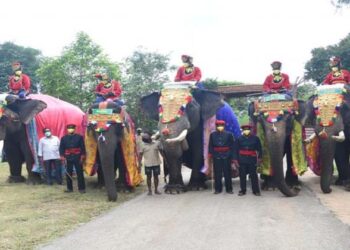 ಆಹಾ ದಸರಾ! ಗಜಪಡೆಗೆ ಅರಮನೆಯಲ್ಲಿ ಅದ್ಧೂರಿ ಸ್ವಾಗತ