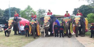 ಆಹಾ ದಸರಾ! ಗಜಪಡೆಗೆ ಅರಮನೆಯಲ್ಲಿ ಅದ್ಧೂರಿ ಸ್ವಾಗತ