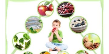 Health: ಈ 5 ಆಹಾರಗಳು ಮಕ್ಕಳ ಮಿದುಳಿನ ಬೆಳವಣಿಗೆಗೆ ಸಹಕಾರಿ