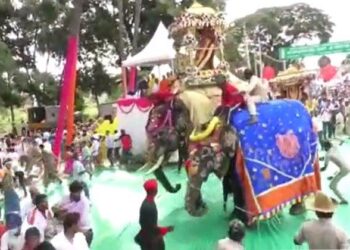 Elephant jamboo ride threatened by sound of fireworks instrument