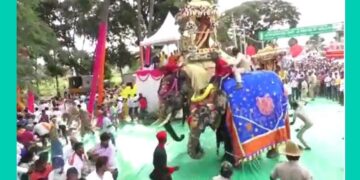 Elephant jamboo ride threatened by sound of fireworks instrument