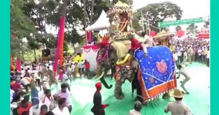 Elephant jamboo ride threatened by sound of fireworks instrument