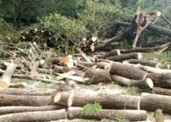 ರಾಷ್ಟ್ರಪತಿ ಶೃಂಗೇರಿ ಭೇಟಿ ಹಿನ್ನೇಲೆ