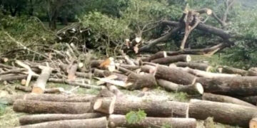 ರಾಷ್ಟ್ರಪತಿ ಶೃಂಗೇರಿ ಭೇಟಿ ಹಿನ್ನೇಲೆ