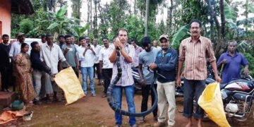 King Cobra captured in Durgahalli