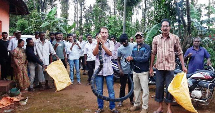 King Cobra captured in Durgahalli