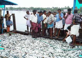 ಚಿಕ್ಕಮಗಳೂರು ಮೂಲದ ಮೀನು ಲಾರಿ ಚಾಲಕನ ಅಪಹರಣ