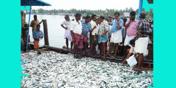 ಚಿಕ್ಕಮಗಳೂರು ಮೂಲದ ಮೀನು ಲಾರಿ ಚಾಲಕನ ಅಪಹರಣ