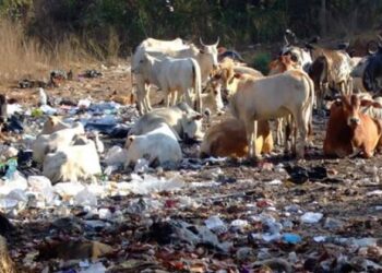 Waste at tourist destinations