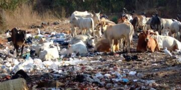 Waste at tourist destinations