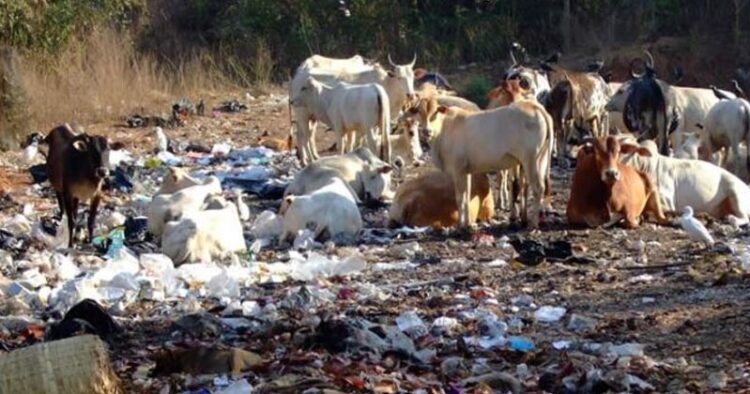 Waste at tourist destinations