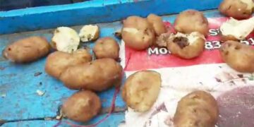 Mite in vegetables: ಮಡಿಕೆ ಪಾನಿಪೂರಿ ತಯಾರಿಸುವ ತರಕಾರಿಗಳಲ್ಲಿ ಹುಳ