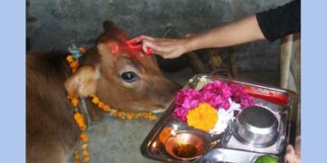 Gopuja: ದೀಪಾವಳಿ ಹಬ್ಬದಂದು ದೇವಾಲಯಗಳಲ್ಲಿ ಗೋಪೂಜೆ ಮಾಡಿ