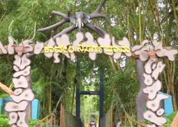 Kodagu Nature Sanctuary