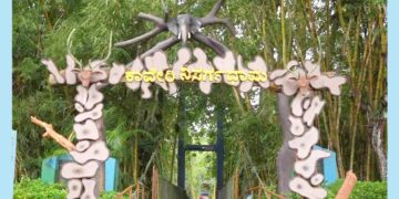 Kodagu Nature Sanctuary