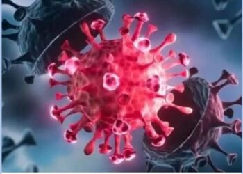 AY 4.2 virus: ರಾಜ್ಯಕ್ಕೂ ಎಂಟ್ರಿ ಕೊಟ್ಟ ಡೆಲ್ಟಾ ರೂಪಾಂತರಿ AY 4.2 ವೈರಸ್..!