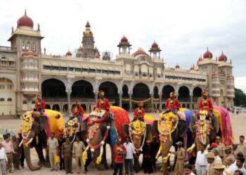ಅರಮನೆಯಿಂದ ಮರಳಿ ಕಾಡಿಗೆ ಸೇರಿದ ಗಜಪಡೆ