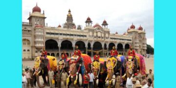 ಅರಮನೆಯಿಂದ ಮರಳಿ ಕಾಡಿಗೆ ಸೇರಿದ ಗಜಪಡೆ