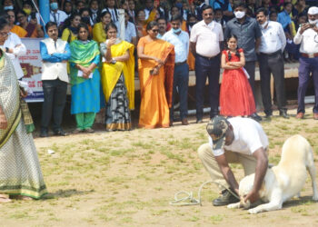 Demonstration of dogs: ಸಾರ್ವಜನಿಕರ ಗಮನ ಸೆಳೆದ ಪೊಲೀಸ್ ಶ್ವಾನಗಳ ಪ್ರಾತ್ಯಾಕ್ಷಿಕೆ