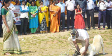 Demonstration of dogs: ಸಾರ್ವಜನಿಕರ ಗಮನ ಸೆಳೆದ ಪೊಲೀಸ್ ಶ್ವಾನಗಳ ಪ್ರಾತ್ಯಾಕ್ಷಿಕೆ