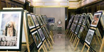 Ladakh-Bird-Festival