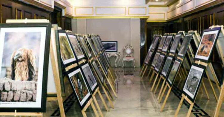 Ladakh-Bird-Festival