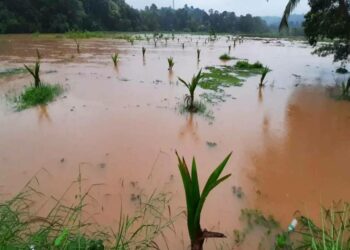 ಕೇರಳದಲ್ಲಿ ಮಳೆಯಿಂದ ಭೂಕುಸಿತ, ಪ್ರವಾಹಕ್ಕೆ 27 ಮಂದಿ ಸಾವು