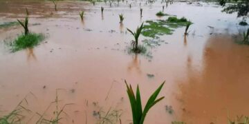 ಕೇರಳದಲ್ಲಿ ಮಳೆಯಿಂದ ಭೂಕುಸಿತ, ಪ್ರವಾಹಕ್ಕೆ 27 ಮಂದಿ ಸಾವು