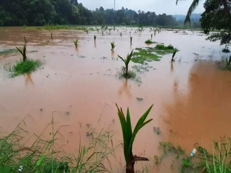 ಪ್ರಾತಿನಿಧಿಕ ಚಿತ್ರ